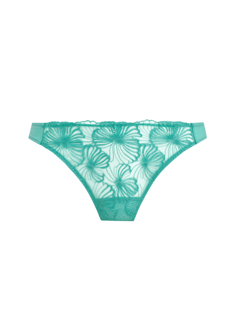 Tanga