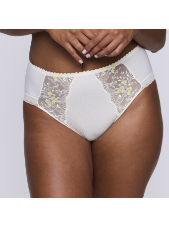 Slip Taille Haute