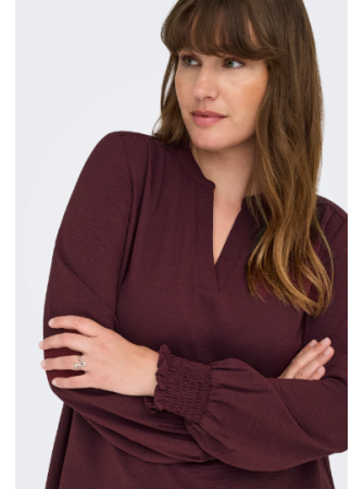 Blouse Manches Longues à Col V