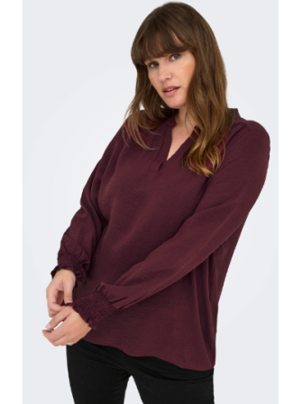 Blouse Manches Longues à Col V