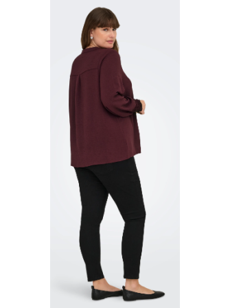 Blouse Manches Longues à Col V