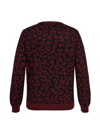 Pull Léopard