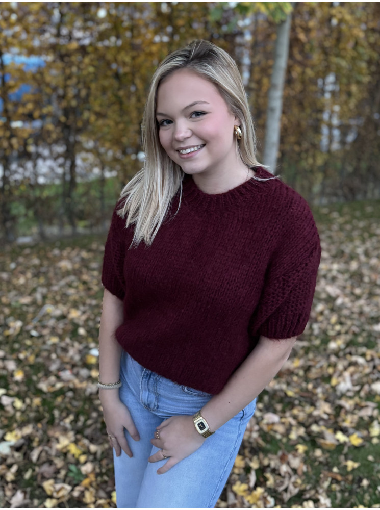 Pull Manches Courtes