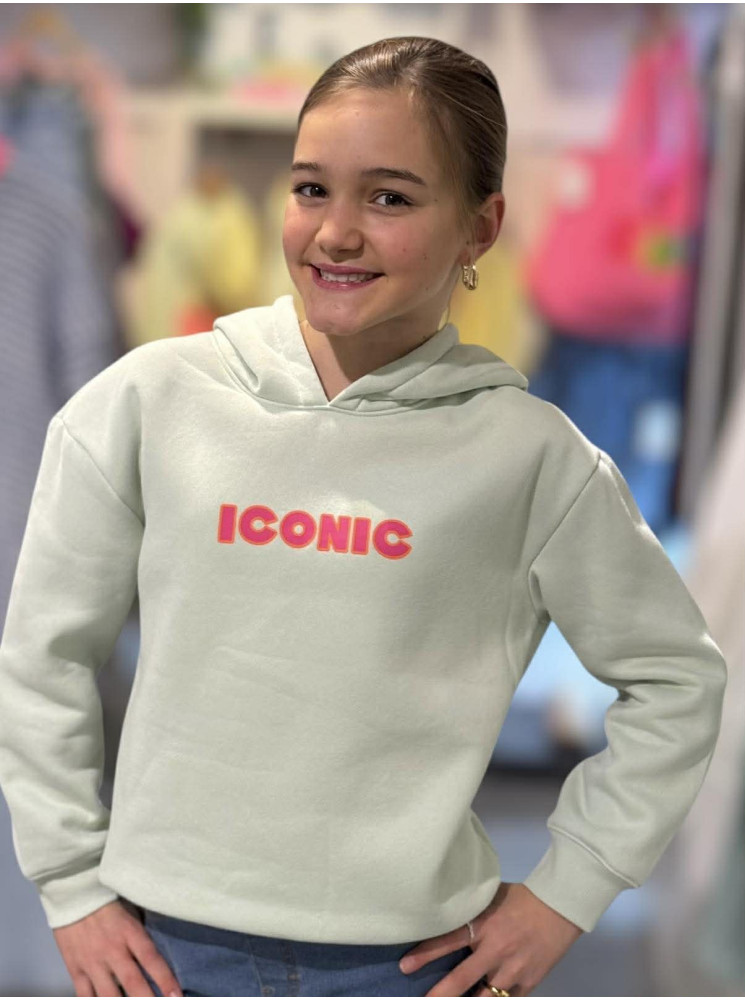 Sweat "ICONIC" à capuche