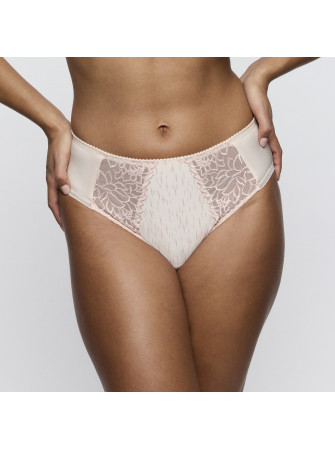 Slip Taille Haute