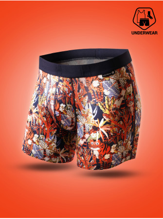 Boxer