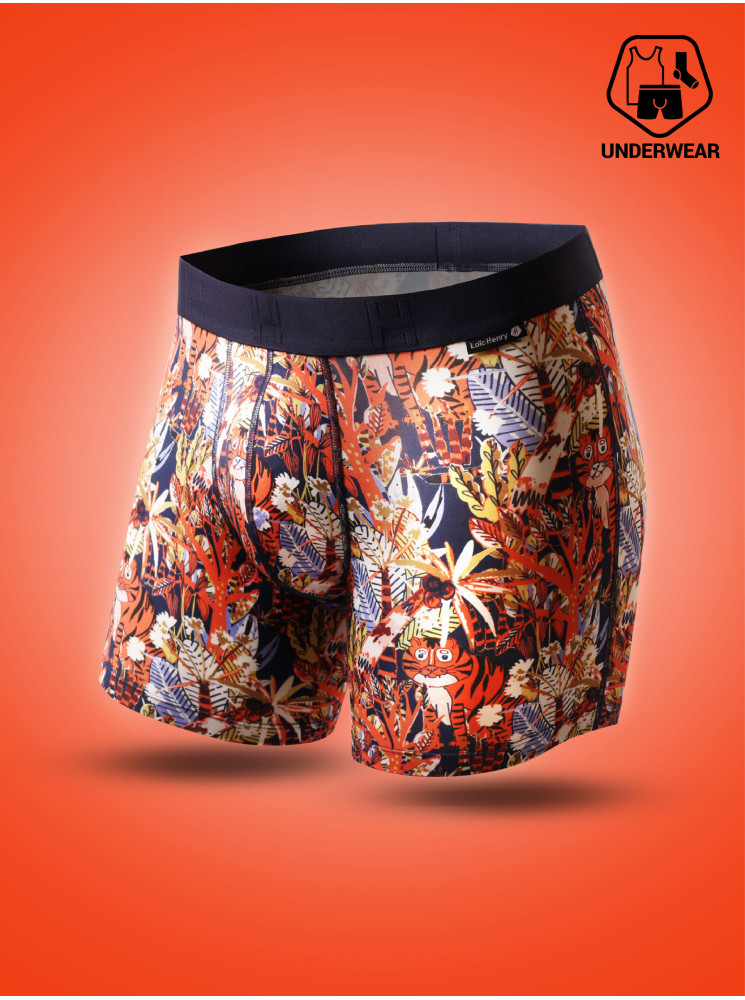 Boxer