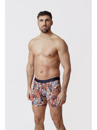 Boxer