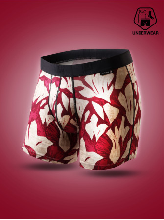 Boxer