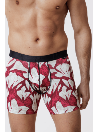 Boxer