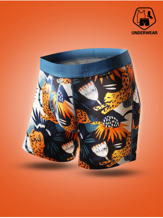 Boxer