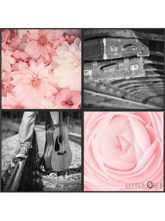 Fleurs/Valises/Guitare